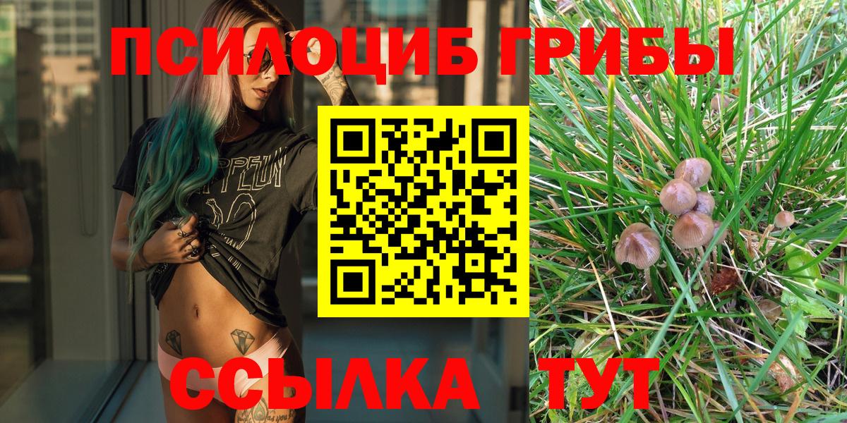 Самара  Псилоцибиновые грибы Cubensis  Псилоцибиновые грибы прущие грибы  Вход с VPN 
