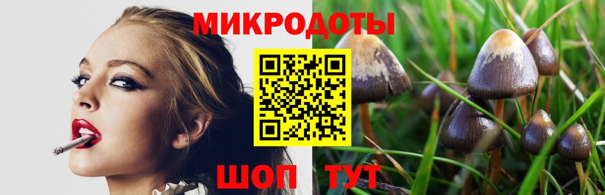 Псилоцибиновые грибы MAGIC MUSHROOMS Самара